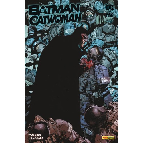 Batman catwoman panini - catwoman, 7